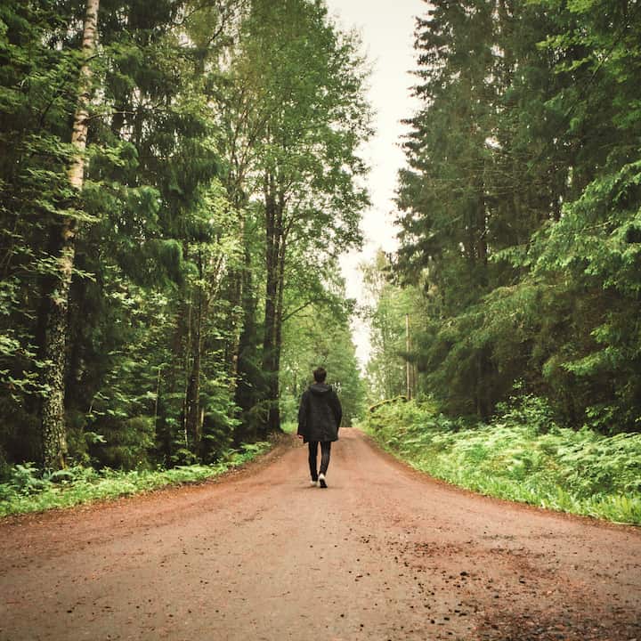 Square forest road composition 2019