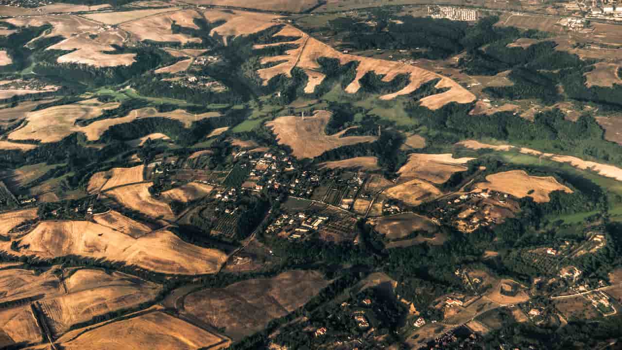 Bird view 2016