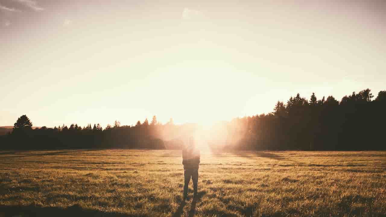 Field 2016, Harald staring at the sunset.