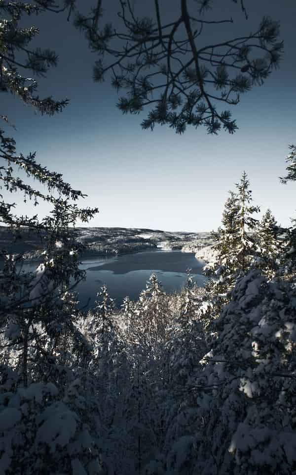 Winter December 23 2023