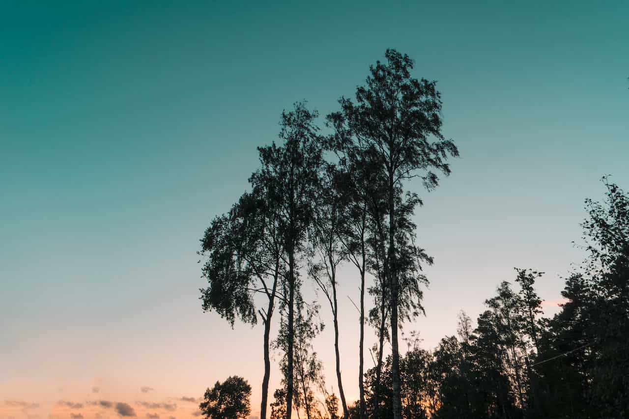 Summer past sunset 2018